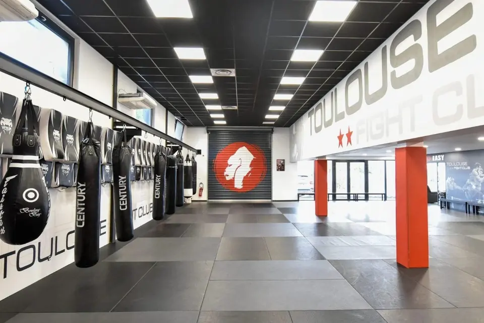 Le rideau au gorille, au fond de la grande salle de Montaudran